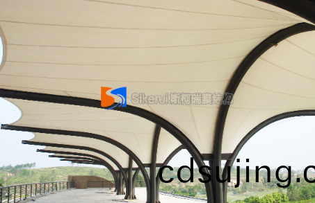 膜(mo)結(jie)構(gou)廠(chang)傢(jia)髮(fa)展歷(li)程