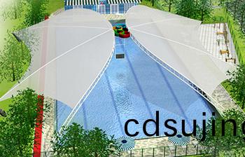 遊(you)泳(yong)池(chi)